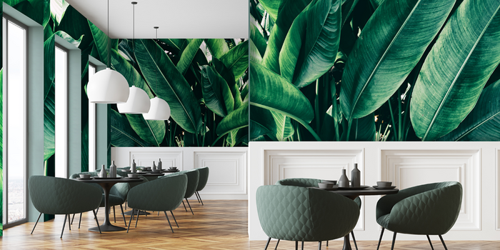 WALLstoxx the revolution of wallcover | 2019