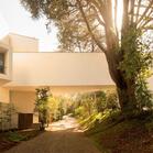 Serralves Foundation Museum Álvaro Siza Wing  | Porto, Portugal | 2023