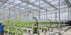The Controlled Environment Agriculture Research Complex | Columbus, Ohio, USA | 2022