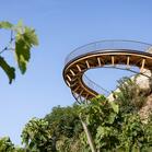 Belvedere Wine-Growing Hillsides of Condrieu | 2024 | Julien Giammarchi, France