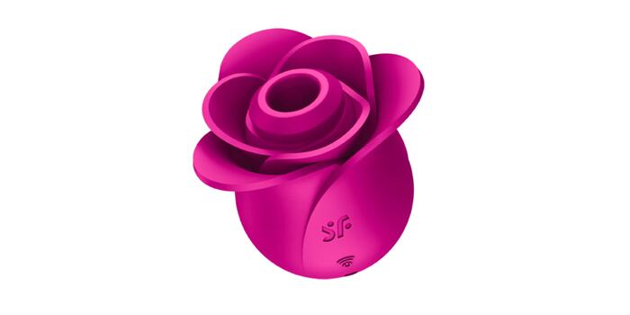 Pro 2 Modern Blossom | 2023