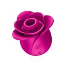 Pro 2 Modern Blossom | 2023