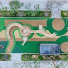 Pine Cone on the Pine Forest Path | 2024