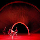 The New York City Ballet