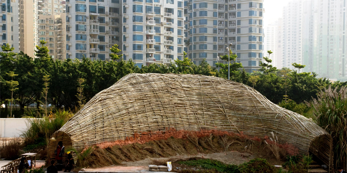 BUG DOME - Casagrade Laboratory