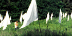 1000 WHITE FLAGS - Casagrande & Rintala