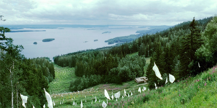 1000 WHITE FLAGS - Casagrande & Rintala