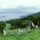 1000 WHITE FLAGS - Casagrande & Rintala