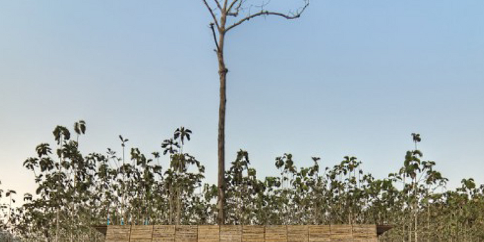 SAFE HAVEN BATHHOUSE, 2009 - TYIN Architects