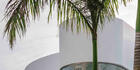 Flamingo Club Hotel - Miguel Crespo Picot