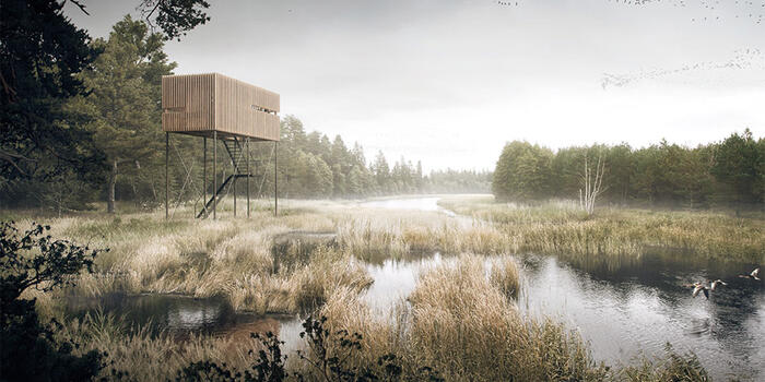 Kurgalsky Nature Reserve - Darius Reznek