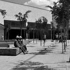 Sarit Centre Roof Forest - Chloe Humphreys