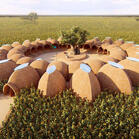 Sunflower School - Matteo Defendini