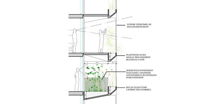 The Plant House - MU Team - France